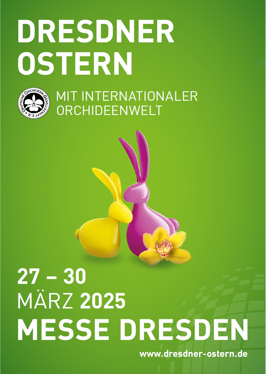 Plakat Dresdner Ostern 2025