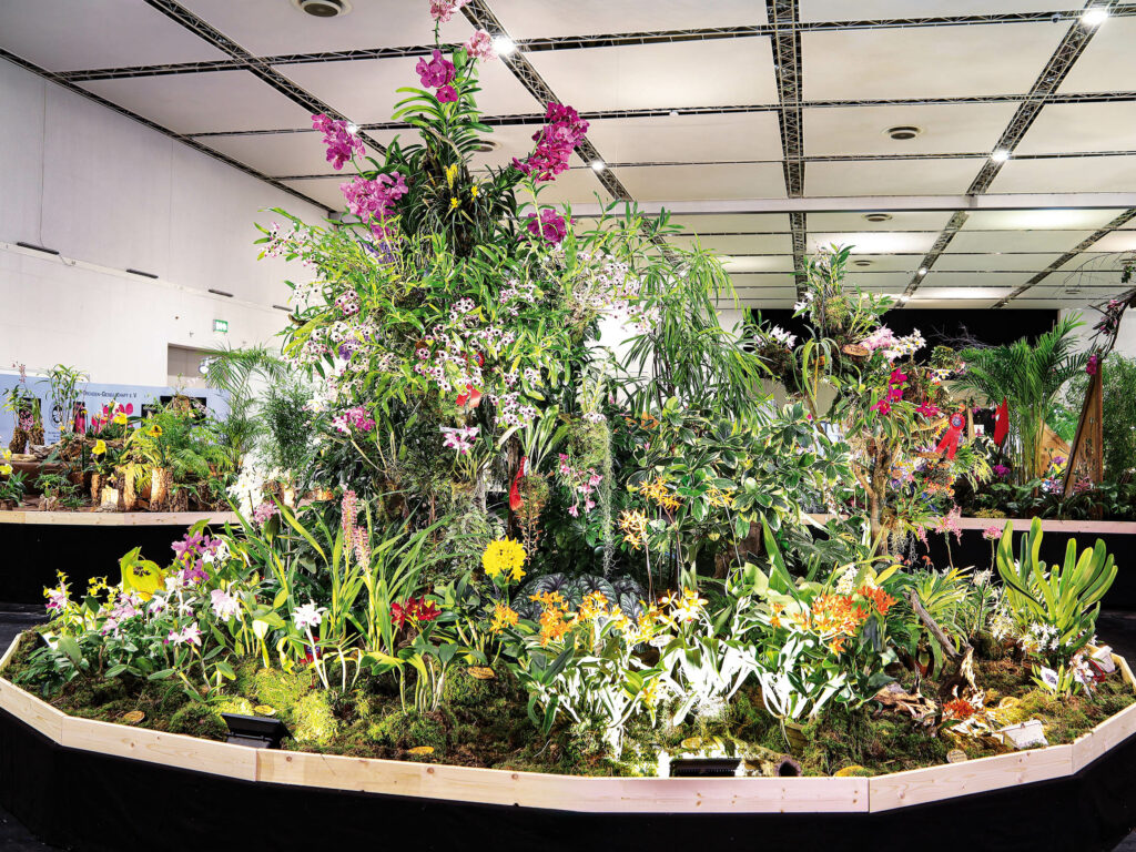 Stand Großräschener Orchideen