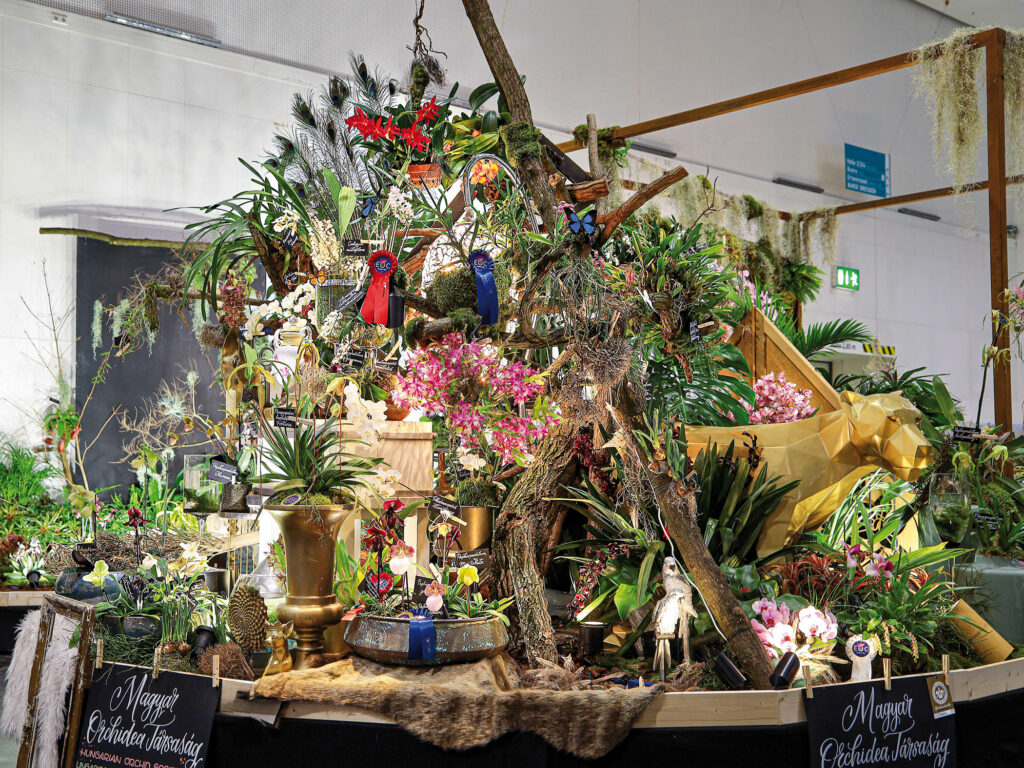 Stand Ungarische Orchideengesellschaft